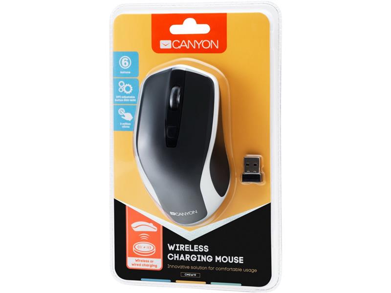 Мышь беспроводная Canyon CNS-CMSW19B Black/Silver USB | ARAGO