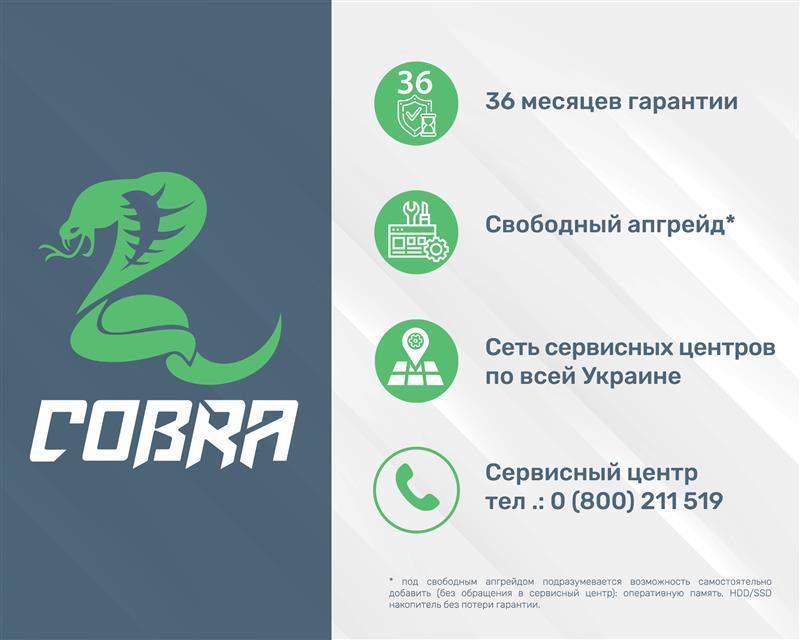 Персональный компьютер COBRA (I94F.16.S9.26S.387) | ARAGO