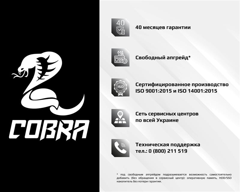 Персональный компьютер COBRA Advanced (A16.16.H1S2.166S.740) | ARAGO